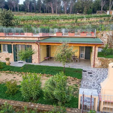 Borgo Dell'uccellaia - Turchese - Giada * مارتْشانا مارينا