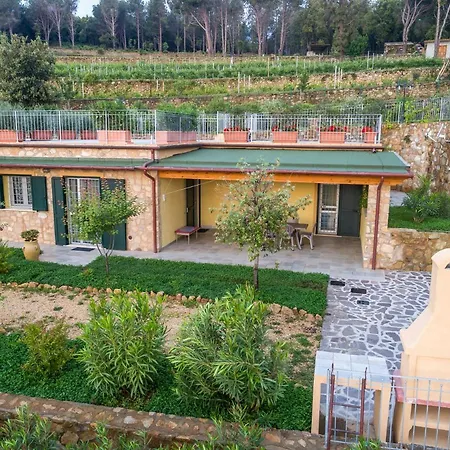 Borgo Dell'uccellaia - Turchese - Giada * 马西亚娜马里纳